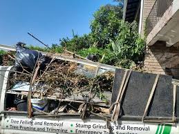 Best Demolition Debris Removal  in Hart, MI