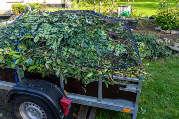 Best Recycling Services for Junk  in Hart, MI